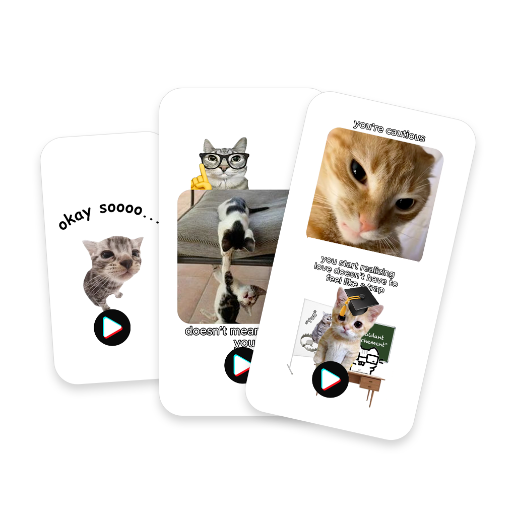 Low-poly cat explaining logic